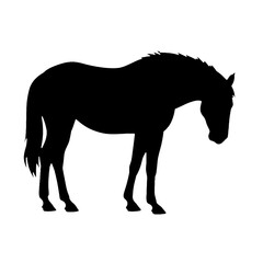 Obraz premium Black silhouette of a horse standing with head down on white background