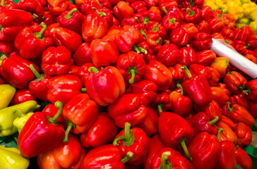 Colorful display of fresh red and yellow bell peppers at a bustling farmer's market in autumn, capturing the essence of seasonal harvest and local produce