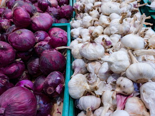 Freshly harvested red onions and garlic displayed at a vibrant local market in the late morning