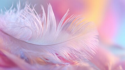 Obraz premium A soft feather in pastel shades rests on a colorful, blurred background. The delicate details and light colors create a calming atmosphere, perfect for artistic inspiration.