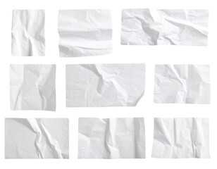 Mixed Petal Scatter with Blush Peonies, Roses, and Eucalyptus Leaves, Floating Arrangement PNG