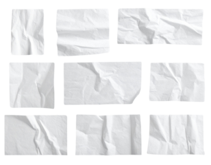 Mixed Petal Scatter with Blush Peonies, Roses, and Eucalyptus Leaves, Floating Arrangement PNG