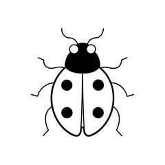 ladybug insect icon vector