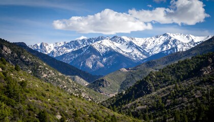 Obraz premium Mountain valley with snow-capped peaks (1)