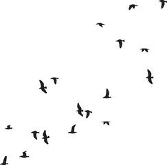 "Freedom in Flight: Silhouettes of Soaring Birds"

"Grace in Motion: A Flock Against the Sky"

"Wings of Unity: Birds in Formation"