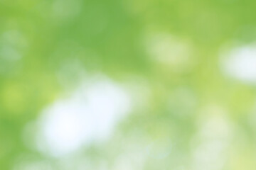 Green nature bokeh, Subtle background in abstract style for graphic design