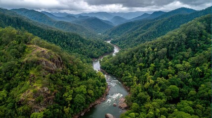 Aerial view of a lush river valley nestled within a dense, mountainous rainforest