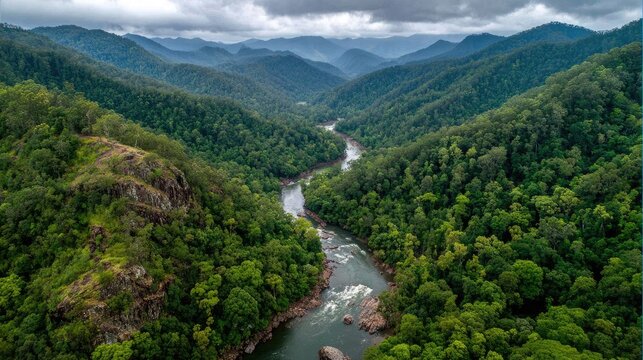 Aerial view of a lush river valley nestled within a dense, mountainous rainforest