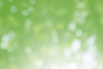 Fototapeta premium Green nature bokeh, Subtle background in abstract style for graphic design
