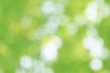 Green nature bokeh, Subtle background in abstract style for graphic design