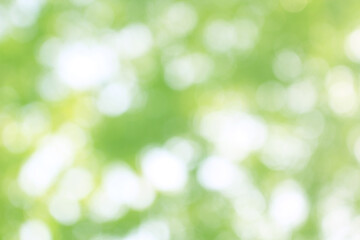 Green nature bokeh, Subtle background in abstract style for graphic design