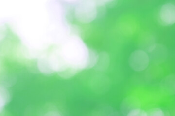 Green nature bokeh, Subtle background in abstract style for graphic design