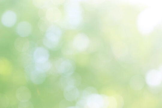 Green nature bokeh, Subtle background in abstract style for graphic design