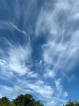 Cirrus clouds are high-altitude clouds, Global warming is expected to increase certain types of clouds in certain places and decrease them in others.