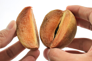 sapodilla and brown skin. sapodilla has a sweet taste. sapodilla is a tropical fruit. sapodilla isolated on white background