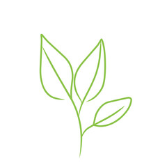 leaf line vector art