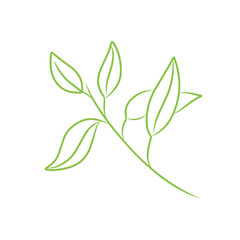 leaf line vector art
