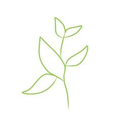 leaf line vector art