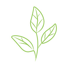 leaf line vector art