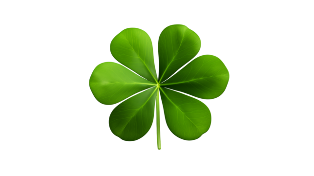 Five leaf clover for extra luck, a unique symbol of fortune and prosperity