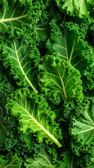 Vibrant Green Kale Leaves Displayed in a Pattern, Fresh and Healthy Food