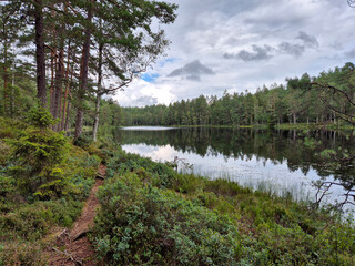 Lake