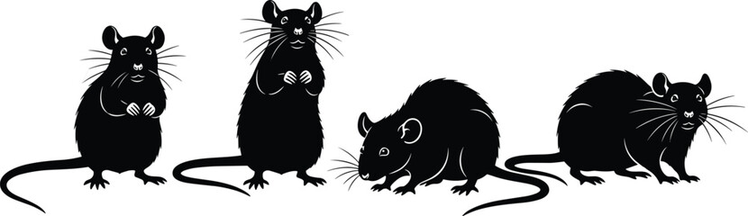 Vector Silhouettes of Rats in Different Poses, Standing, Crouching, Sitting, Sniffing, Black Animal Illustration for Wildlife, Behavior, Study, Art