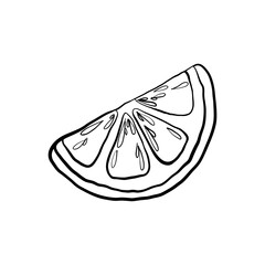 Lemon slice, isolated on a white background, black and white contour vector line illustration, hand-drawn. A piece of sour citrus fruit for decoration, design, label. Graphic drawing sketch