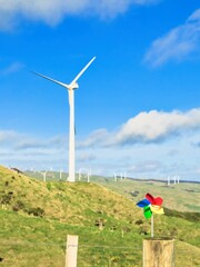 New Zealand Wind Farm Color