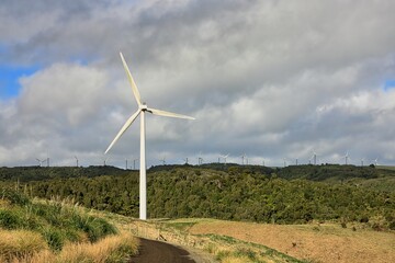 New Zealand Wind Farm Bush Hill Top