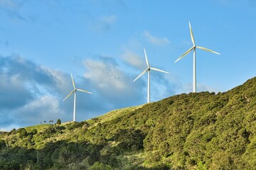 New Zealand Wind Farm Bush Hills