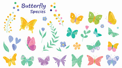 Watercolor illustration of various butterfly species with floral elements on a white background art