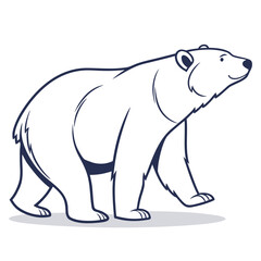 polar bear vector illustration