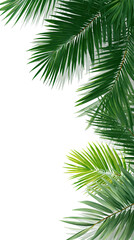Naklejka premium Close-up tropical palm leaves
