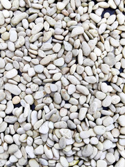 Smooth White Pebbles Stone Background Texture