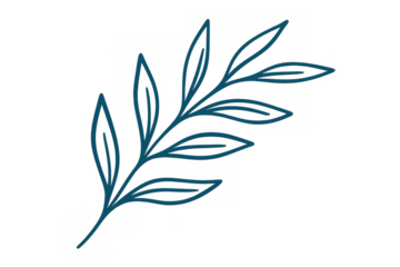 Delicate blue botanical branch illustration, highlighting botanical sketch details against transparent backdrop