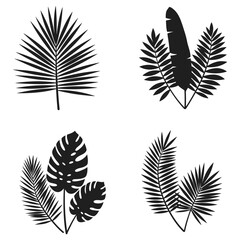 Tropical Leaves Silhouette Collection Palm Banana and Monstera Leaf Illustrations