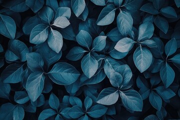 Dark teal, ovate leaves densely packed, creating a lush, textured background