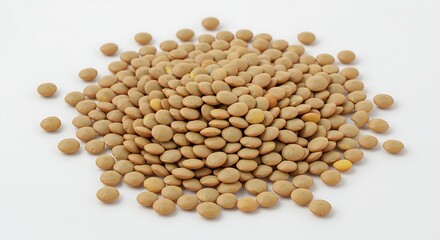 Pile of Raw Lentils on White Background – Vegetable Seeds for Planting.