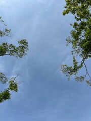 sky and clouds, tree