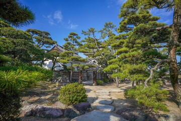 青空バックに見る飛び石と日本庭園のコラボ情景