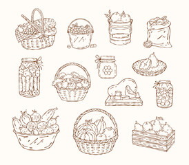 Vector doodle outline set of autumn harvest with baskets, crates, preserves, fruits, vegetables, nuts, and seasonal produce. Hand drawn black and white line art illustrations