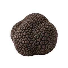 Whole black truffle, isolated on transparent background
