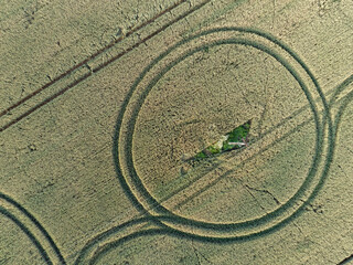 Aerial top-down view of unique circular patterns in an Estonian wheat field. Mysterious tracks and...