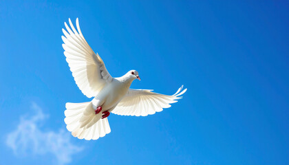 Obraz premium Dove Flying in Blue Sky: Symbol of International Day of Peace, Harmony and Freedom