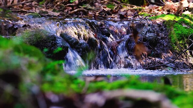 Gentle stream cascading over mossy rocks in a tranquil forest, perfect for nature documentaries and relaxing background footage