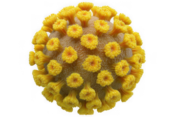 Detailed 3d rendering of a yellow virus particle with spike proteins isolated on transparent background