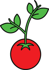 Red tomato plant with green leaves isolated on transparent background