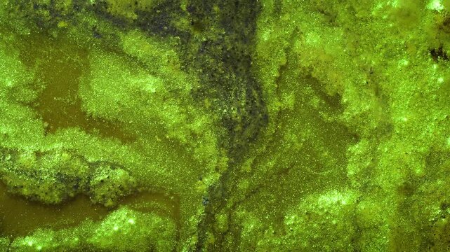 Granular green sludge flows gently in top-down view with shimmering crust and subtle texture variations across surface for environmental contamination overlay