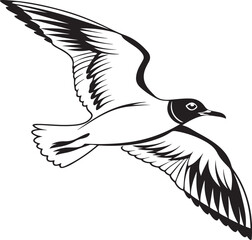 Bonapart gull silhouette vector style with white background ..